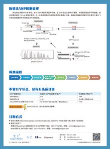 質(zhì)譜法SNP檢測 低價(jià)格高服務(wù)質(zhì)量，生工生物為您提供優(yōu)質(zhì)生命科學(xué)技術(shù)服務(wù)